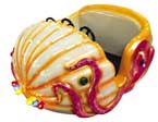 Sea Shell