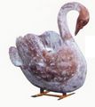 Cygne Fixe