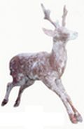 Cerf Fixe ou Sauteur