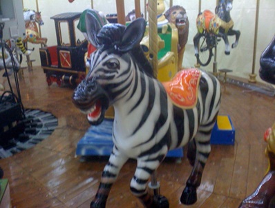 Zèbre sauteur