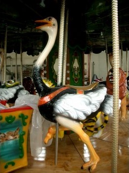 Autruche