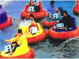Bumper Boat